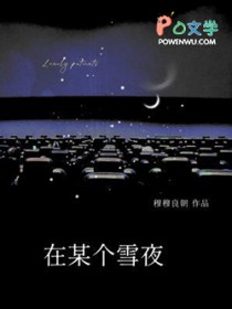 在某个雪夜